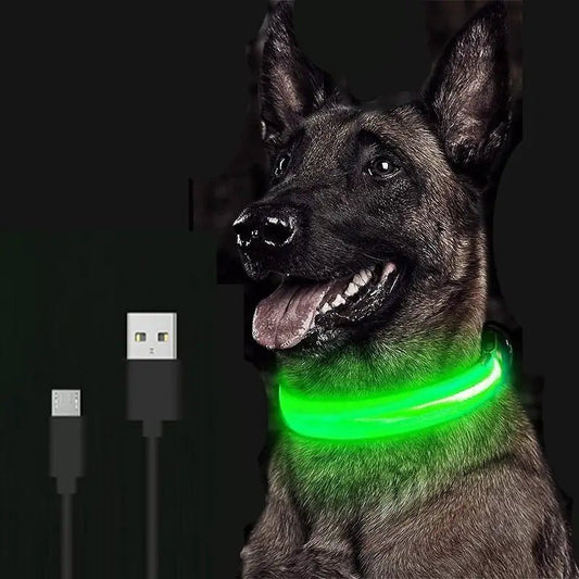 LED Dog Collar - ChappieStores