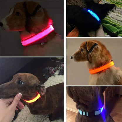 LED Dog Collar - ChappieStores