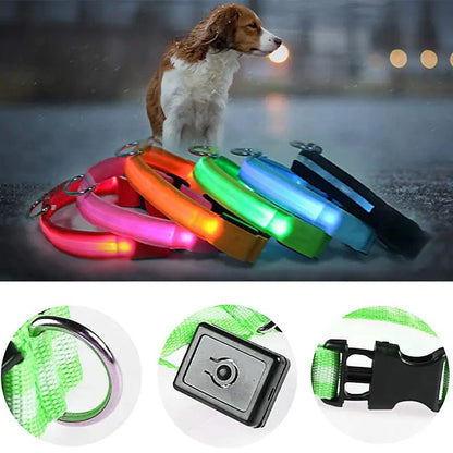 LED Dog Collar - ChappieStores