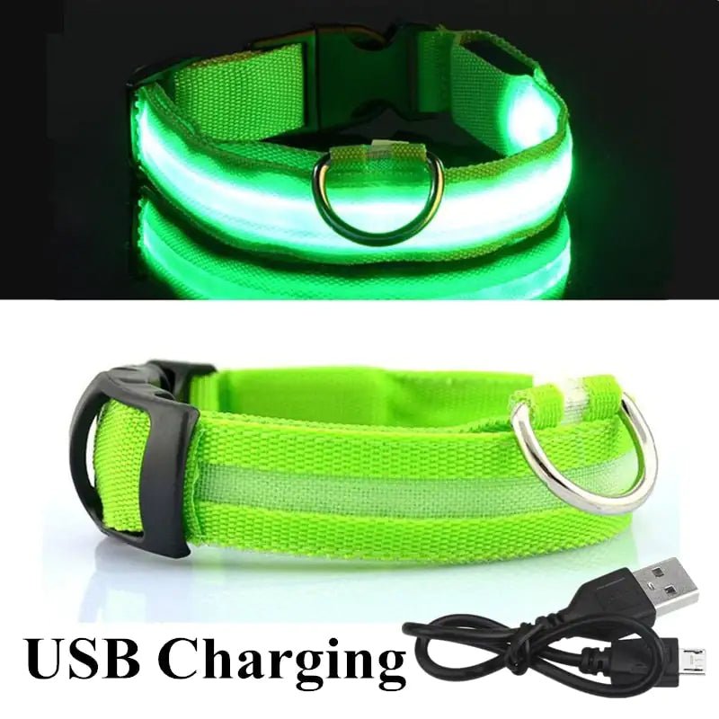 LED Dog Collar - ChappieStores