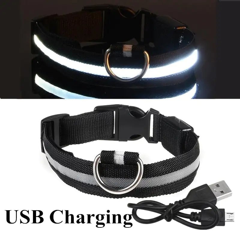 LED Dog Collar - ChappieStores