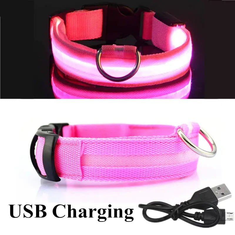 LED Dog Collar - ChappieStores