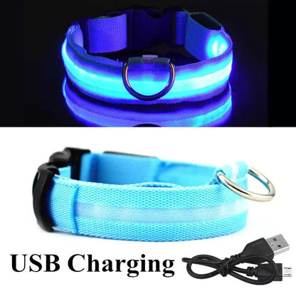 LED Dog Collar - ChappieStores