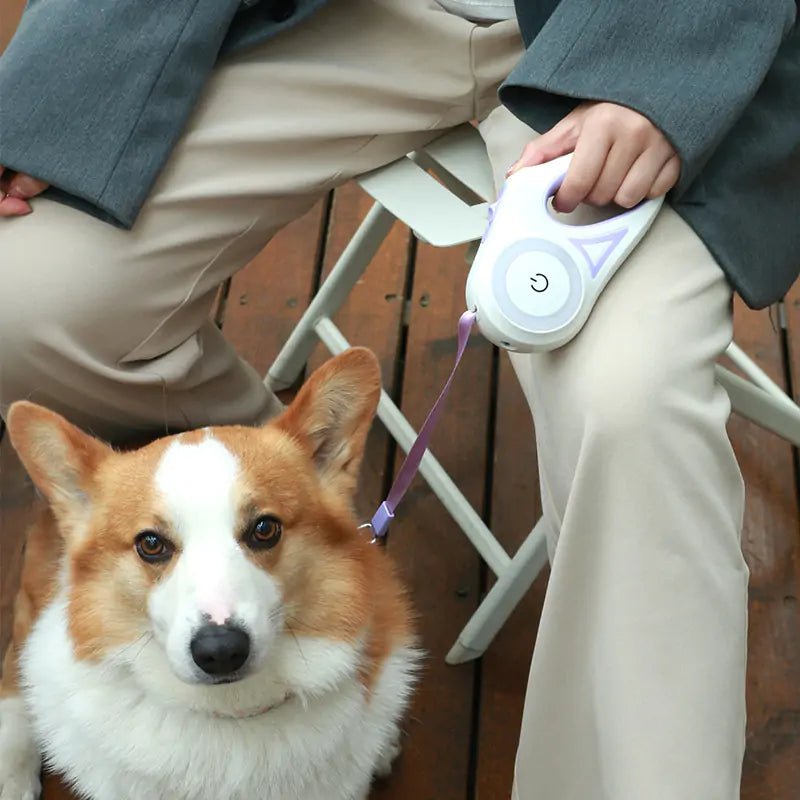 Led Lights Dog Leash - ChappieStores