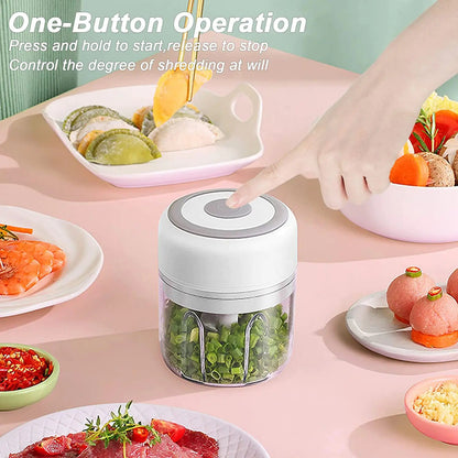 Mini Electric Garlic Chopper - ChappieStores