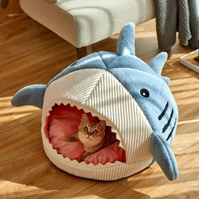 The Shark Pet Bed - ChappieStores