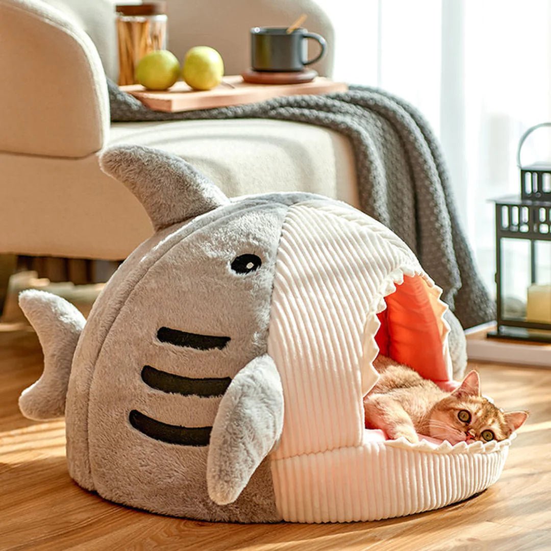 The Shark Pet Bed - ChappieStores