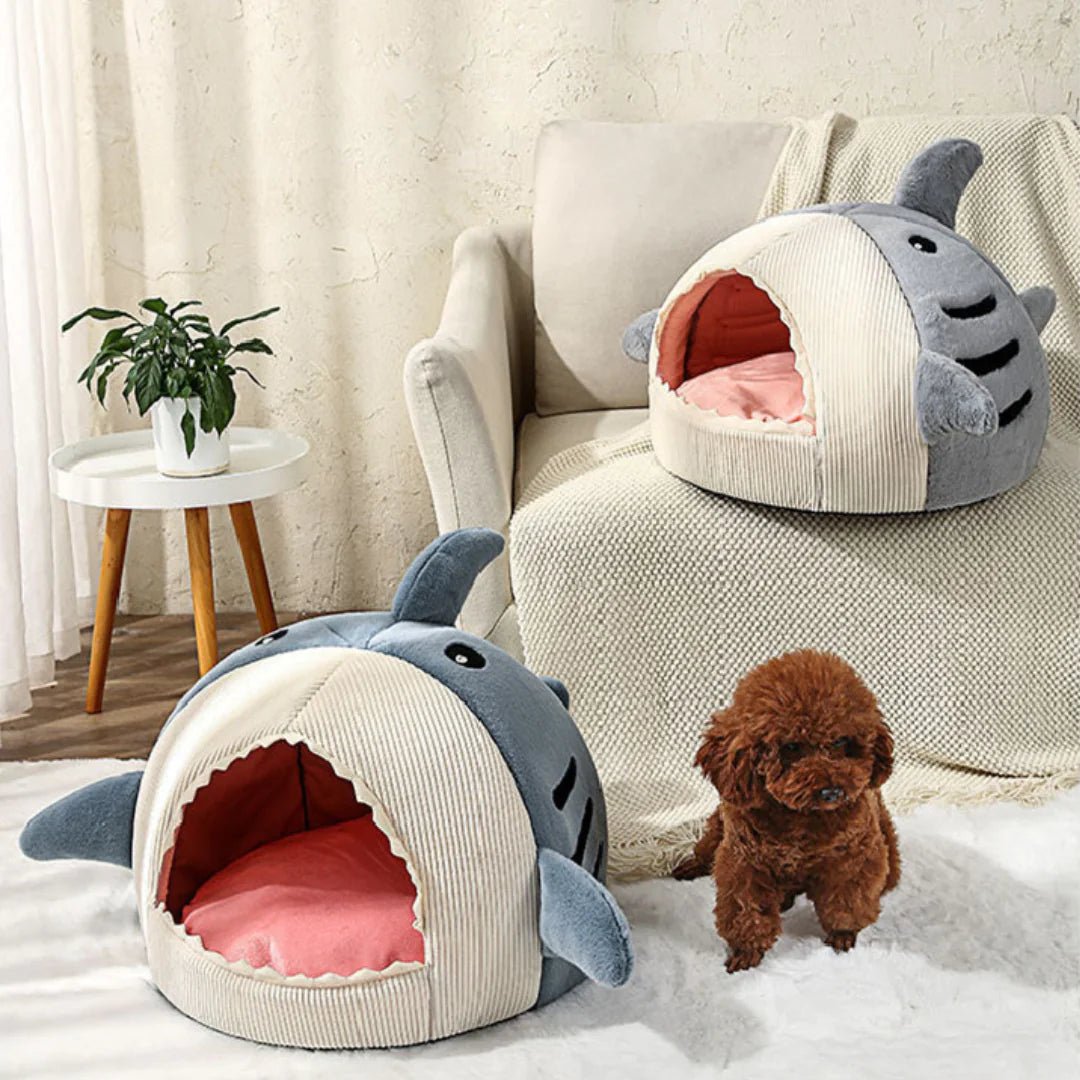 The Shark Pet Bed - ChappieStores