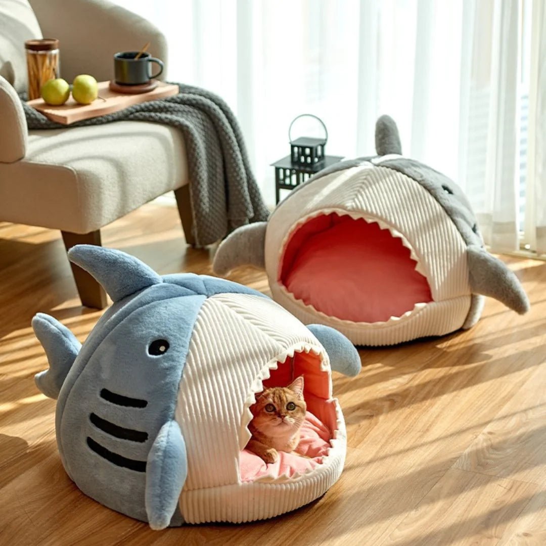 The Shark Pet Bed - ChappieStores