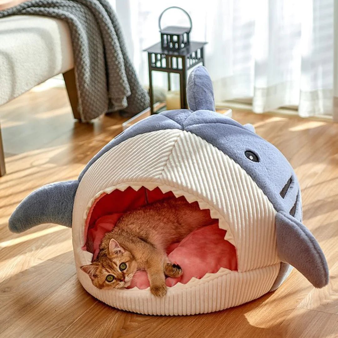 The Shark Pet Bed - ChappieStores